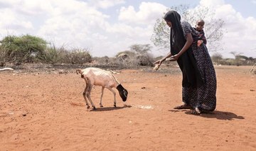Britons unaware of Horn of Africa hunger crisis: Poll