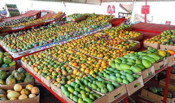 Jazan mango production flourishes with 1m trees