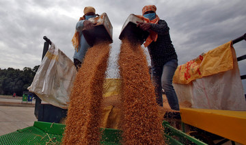 India halts wheat exports, says food security is at risk