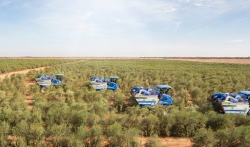 Higher margins drive Al-Jouf Agricultural profit up by 297% in Q1