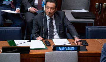 Saudi Arabia tells UN meeting on food security ‘global cooperation is vital’