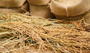 Saudi Grains Organization awards SALIC contract to supply 240k tons of wheat 