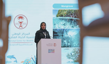 World experts debate future protection of Red Sea ecosystems at Saudi conference