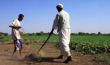 Sudan signed MoU with UAE for farm project, port, says minister 