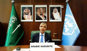 Saudi Arabia calls for safeguarding the welfare, political rights of Rohingya