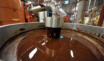 Belgium chocolate factory shut after salmonella infection