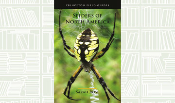 What We Are Reading Today: Spiders of North America by Sarah Rose