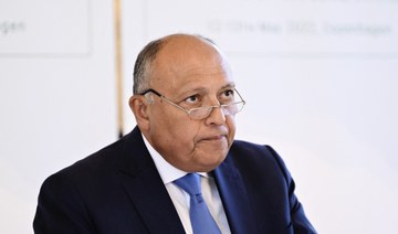 Egypt FM in London to inaugurate partnership council
