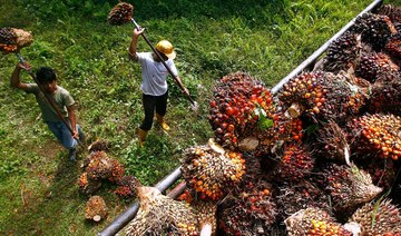India In-Focus — Palm oil imports surging to 10-month high; Sri Lanka to organize roadshows in India