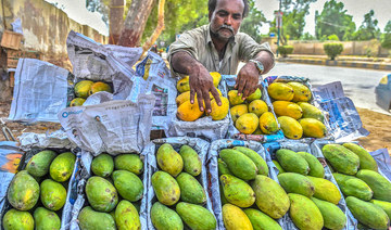 Pakistan’s prized mango harvest hit by water scarcity