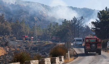 Southwestern Turkey wildfire under control, minister says