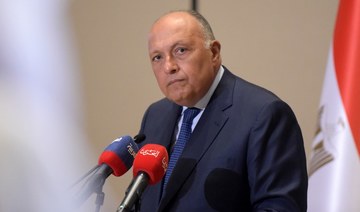 Egypt FM, UN climate official hold talks