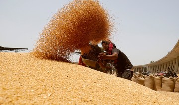 India may scrap wheat import duty to cool domestic prices, say sources