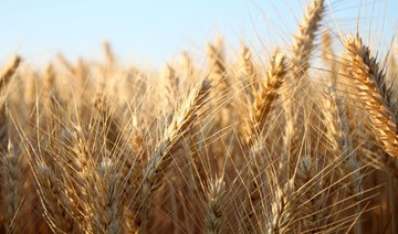 Saudi agricultural fund signs $40m deal to finance import of 130K tons of barley
