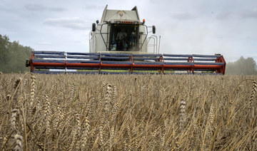 First export of wheat under UN deal as two more ships leave Ukraine