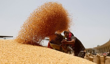 Egypt’s deal for Indian wheat stands, but not shipped yet, says minister