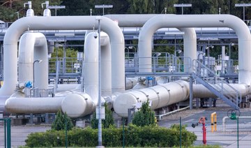 Germany says gas stocks rising quicker than expected