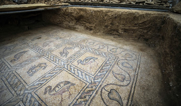 Byzantine mosaics discovered under Gaza farm 