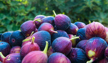 Figs have numerous health benefits and beneficial for people with diabetes. (SPA)