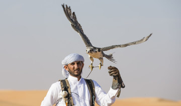 UAE to host global conference on falconry