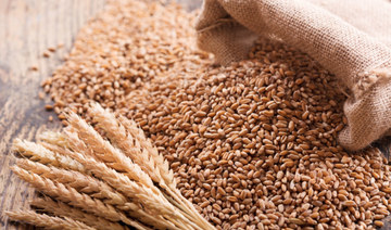 SAGO buys 5k tons of wheat for $2.3m from local farmers