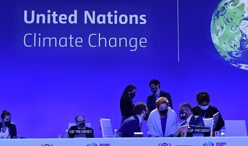 Egypt: About 90 heads of state confirmed for COP27 climate summit