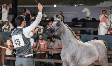 Purebred Arabian horses the mane attraction at Riyadh beauty contest