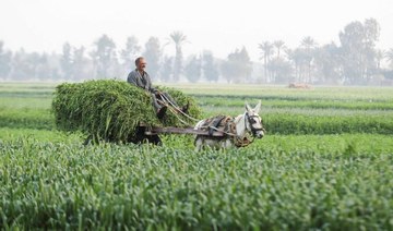 Egypt seeks UK investment in energy and agriculture