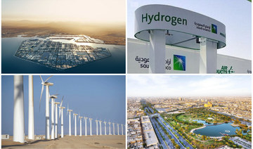 How Gulf energy powerhouses are blazing a trail for green industrialization