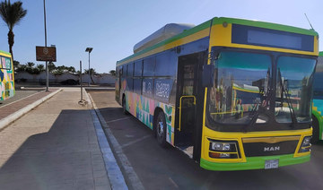 ‘Green’ buses to transport delegates during Egypt climate summit