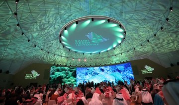 How the GCC countries person fared connected their net-zero commitments truthful far