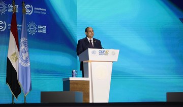 Egypt seeks shift to green economy, President El-Sisi tells COP27 
