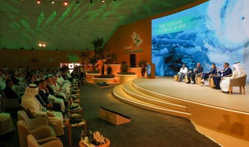 Saudi Arabia launches 3 climate projects, carbon credit scheme at COP27