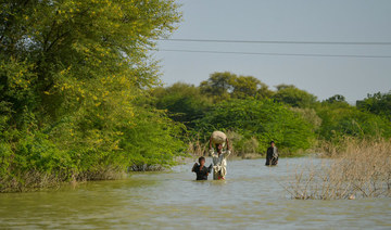 COP27: Global response 'favorable' after Pakistan floods 