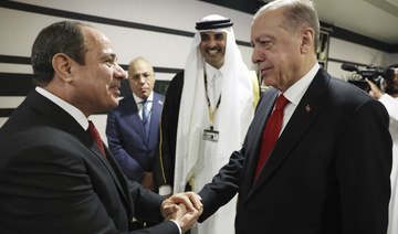 Egyptian-Turkish leaders seal improvement in bilateral ties with handshake
