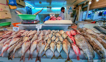 Saudi fish production to touch 119,000 tons in 2022, offering 59% self-sufficiency  