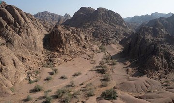 Saudi royal reserve included on protected areas database