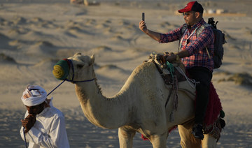 FIFA World Cup frenzy puts strain on Qatar’s camels