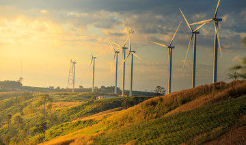 Global renewable capacity to double over next 5 years as energy crisis deepens: IEA