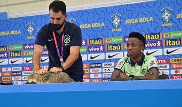 Brazil’s press officer shocks World Cup reporters by throwing cat to the floor in media conference