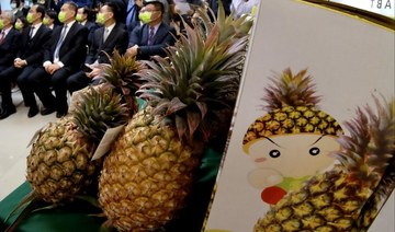 Taiwan premier slams China over fresh import bans