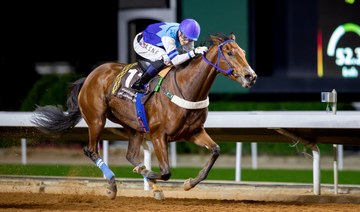 Al-Kaser tops Preparatory Races of Arabian Horses
