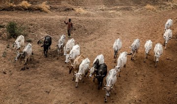 Suspected militants kill 17 herders in northeast Nigeria