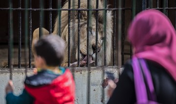 Giza Zoo set to go cageless in renovation plan