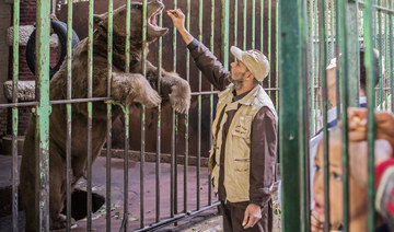 An Egyptian zoo keeper feeds a bear at Giza Zoo in Cairo. (AFP file photo)