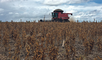 Argentine grain harvests threatened by persistent drought