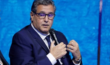 Morocco targeting 50% renewable use by 2030, PM tells Davos 