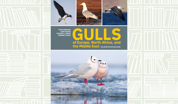 What We Are Reading Today: Gulls of Europe, North  Africa, and the Middle East