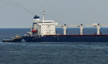 Inspections of Ukrainian grain ships halved since October