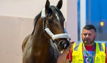 Saudi Cup horses arrive from US